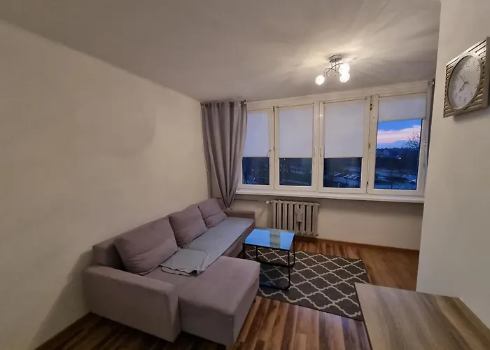 Apartament 41